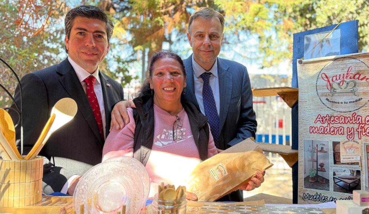 Gobierno en Terreno acercó servicios públicos a comunidad rural de Alto del Carmen